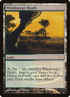Windswept Heath DCI